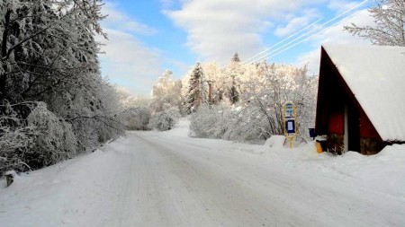 Zastávka pod Bukem.